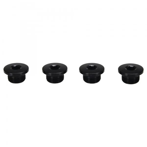 Campagnolo Ekar 13 Speed Chainring Bolts — FC-EK100 [4pc]